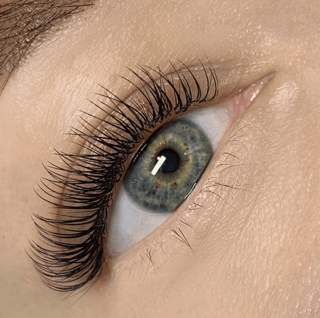 Classic Lashes