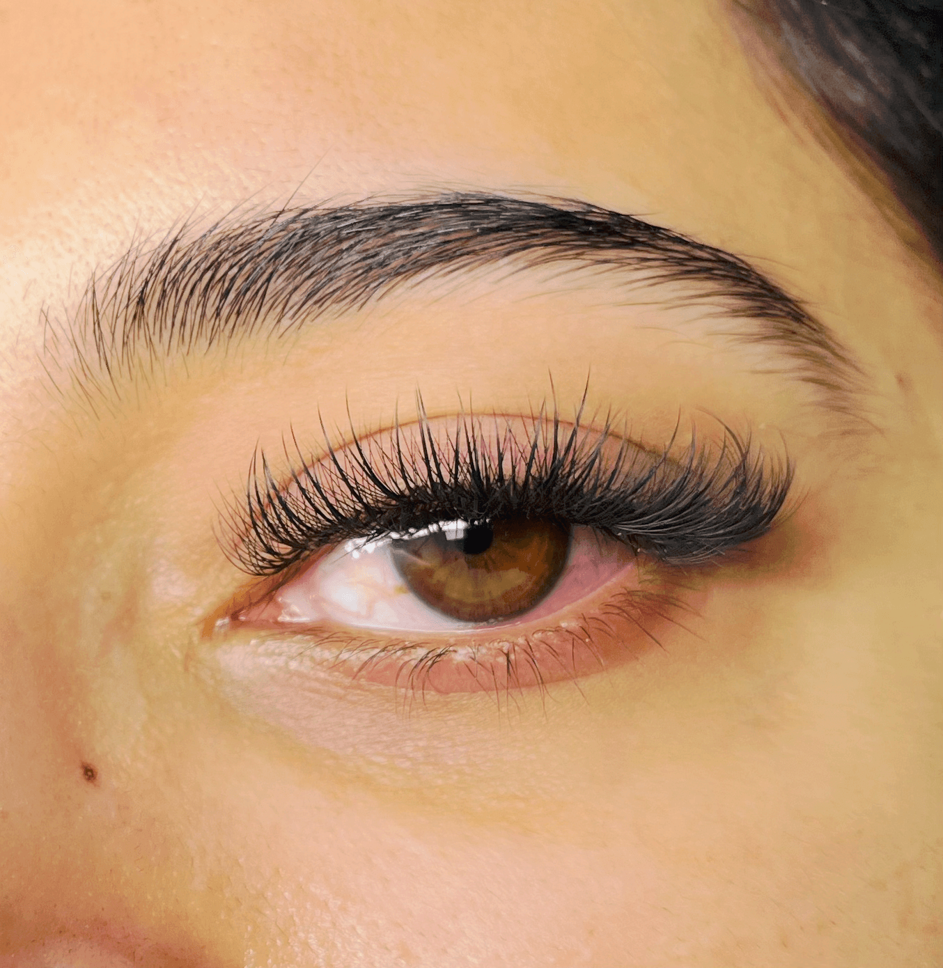 Wispy Lashes